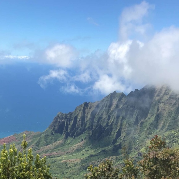 Meet your Posher, Calli - Picture 1 of 1